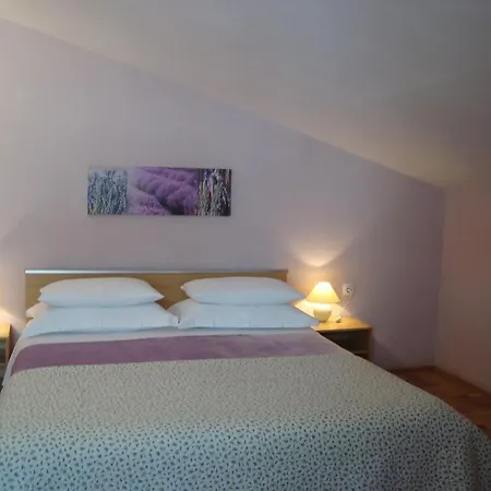 Apartment In Zadar/zadar Riviera 7836